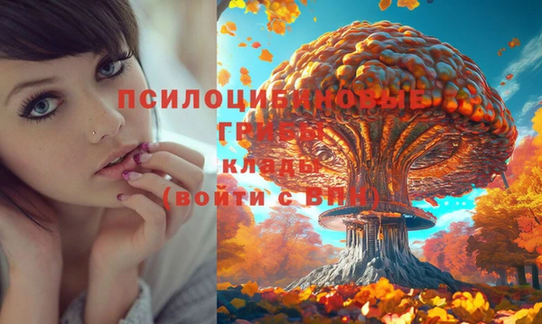 альфа пвп Инта
