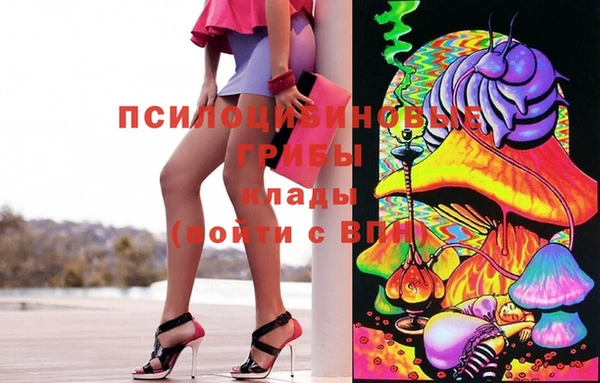 альфа пвп Инта