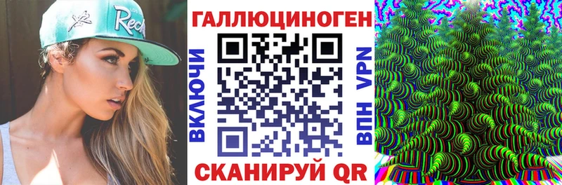 Купить Нововоронеж Псилоцибиновые грибы MAGIC MUSHROOMS